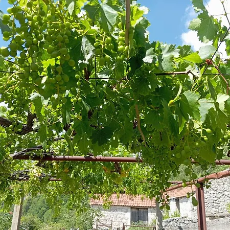 Holiday home Rustic House Hutovo Blato