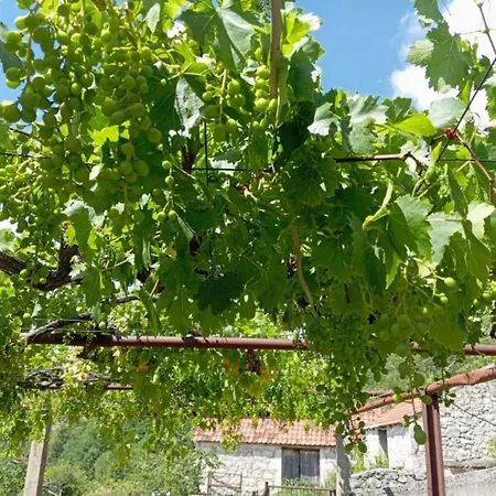 Rustic House Hutovo Blato