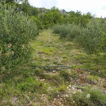 Casa vacanze Rustic House Hutovo Blato *